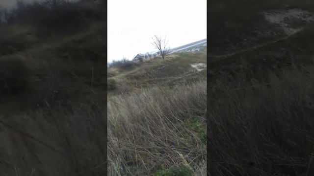 заброшенная дача номер 1 смотреть онлайн