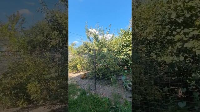Домик в горах?дача/Анапа/Сот Здоровье/горы/чистый воздух смотреть онлайн