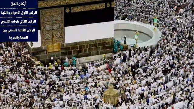 مناسك الحج والعمرة خطوة خطوة Hajj and Umrah смотреть онлайн