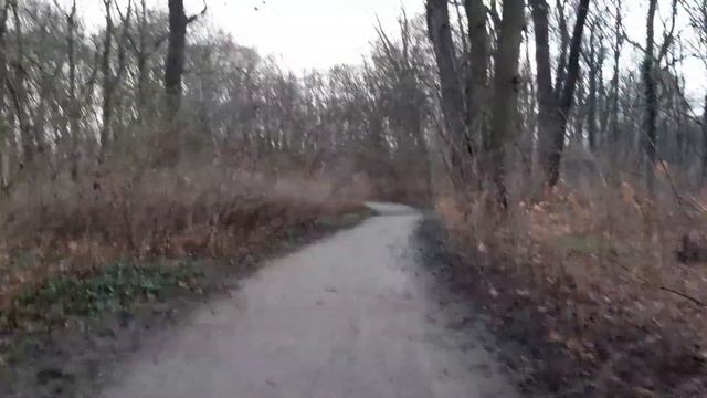 Шаман наблюдает Веточка дубовая и Ворон смотреть онлайн