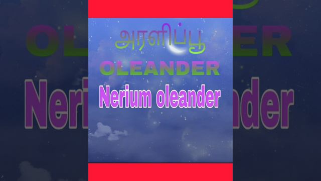 🌺 #Flower's#Scientific#names#english#tamil#chillu#kutty#channel# смотреть онлайн