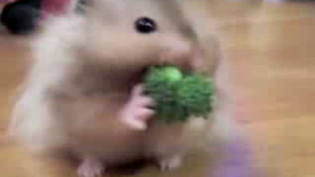 Nom Nom Nom Nom Nom Nom Nom - Parry Gripp