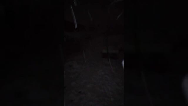 Снег был аж до ног