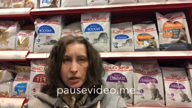 Уровень 1. Introductory test В. Подготовка лошади. смотреть онлайн