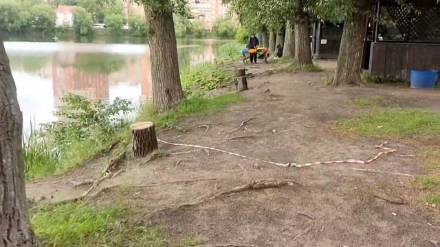 15.07.23 КРХ Белая Дача ,Клёв рыбы,обзор водоёма ВИП и ОСНОВНОГО! Рыба ловится ,ждём в гости! смотреть онлайн