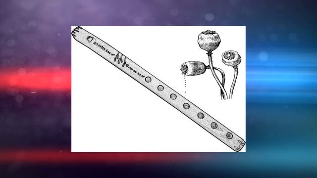 ВОЗДУШНЫЙ ЗМЕЙ: ИСТОРИЯ ВОЗНИКНОВЕНИЯ ВОЗДУШНОГО ЗМЕЯ! Множество интересных фактов о них! смотреть онлайн