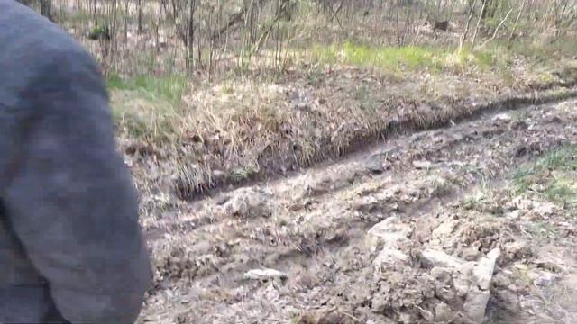 Муравей diesel TEST-2 смотреть онлайн