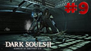 Dark Souls 2 SotFS - Полный Гайд. Прохождение, Секреты и ЛОР. Часть 9. Гибкий Часовой