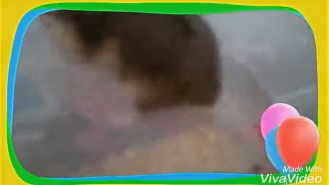Хомяк джунгарский. Жизнь Джульки. смотреть онлайн