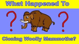 Why Haven't We Cloned a Woolly Mammoth Yet? смотреть онлайн