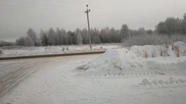 3 февраля 2021 уже не дикий камышовый кот ВАСИЛИЙ,а домашний ,??? смотреть онлайн