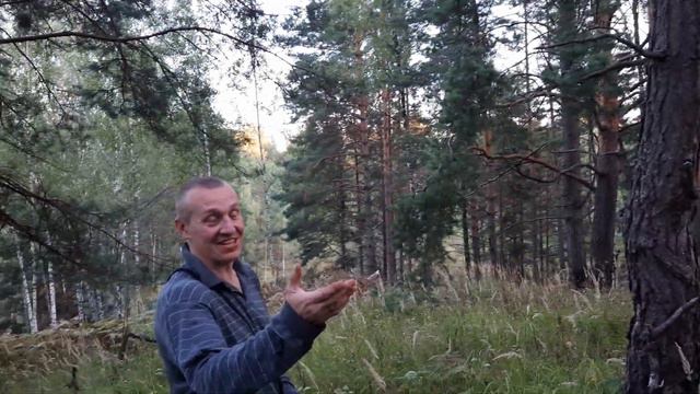 Стаффордширский терьер Зевс. Деревня. Часть 2 смотреть онлайн