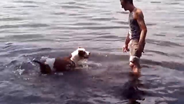 Сэм ныряет за камнем смотреть онлайн