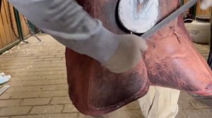 Борьба с хромотой лошади. Постоянная боль в копытах. Навикулярный синдром.