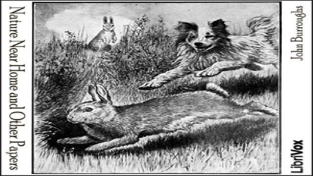 Nature Near Home And Other Papers | John Burroughs | Nature | Audiobook Full | English | 1/2