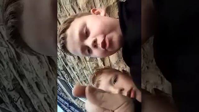 Brows смотреть онлайн