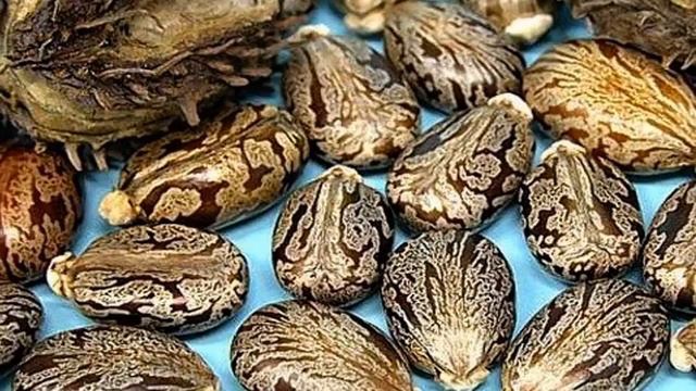 ӘЛЕМДЕГІ ЕҢ ҚАУІПТІ 7 У смотреть онлайн