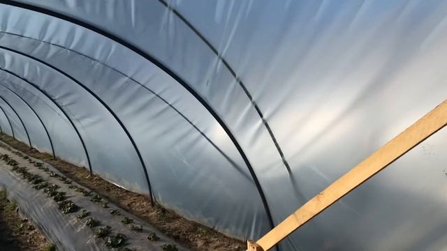 Сколько стоит поставить балаган (туннель, парник ) под клубнику смотреть онлайн