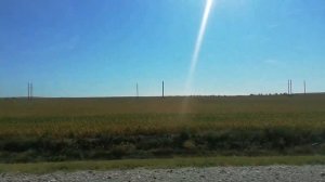 Как добраться из Казахстана в Россию | Пересечение границы Жайсан-Сагарчин 2021