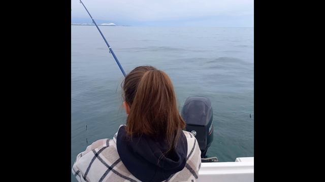 Весенняя ставрида смотреть онлайн