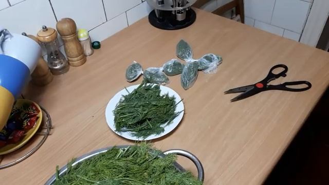 Укроп, укроп и ещё раз Укроп# укропное масло#укропный соус# как заморозить укроп#высушить укроп смотреть онлайн