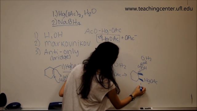 Chapter 6 Worksheet смотреть онлайн