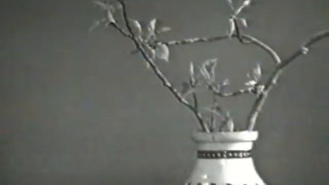 Юбилей Людмилы Тумановой в библиотеке Куликова (6.10.2015) смотреть онлайн