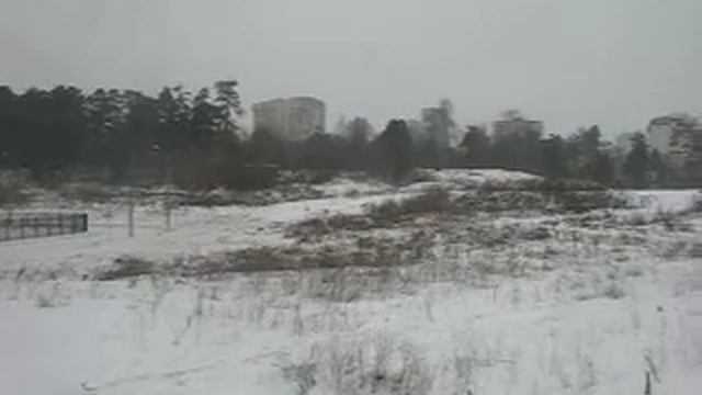 Дендропарк Видное смотреть онлайн