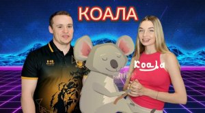 Животный мир. Коала.