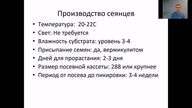 Бархатцы, технология выращивания из семян от PanAmerican Seed смотреть онлайн