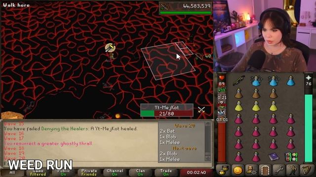 I Played Runescape On Drugs