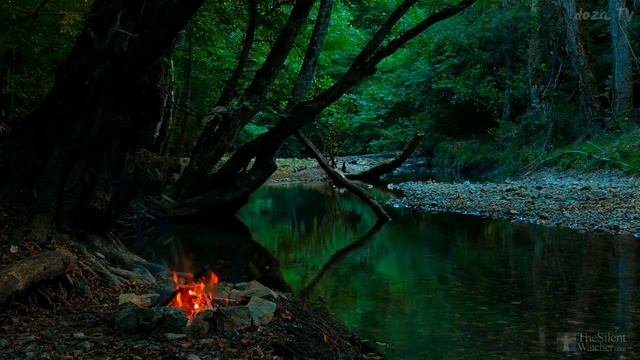 ✰ Доза сна. ✰ Костер на берегу ручья. ✰ Песни под гитару. смотреть онлайн
