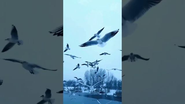 Желаю всем прекрасных выходных!