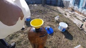 Два простейших рецепта кваса из берёзового и кленового сока.