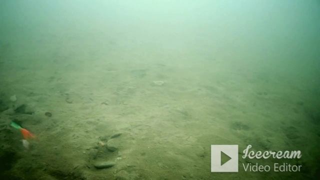 Рыбалка в приглядку.