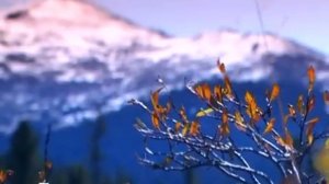 Таинственная Россия «Север  Загадки древних цивилизаций»