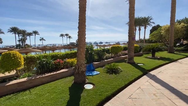 Hurghada Marriott Beach Resort 5* отель с островом. смотреть онлайн