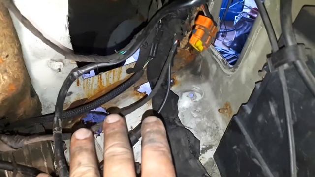 Кулинарные эксперименты