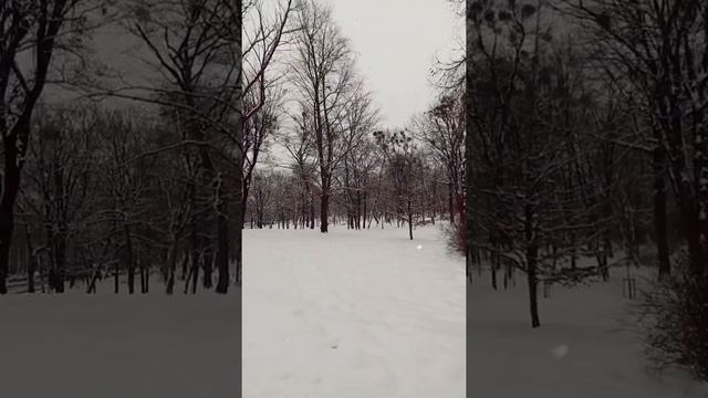 Что такое Бэкстейдж? Примерно выглядит это так смотреть онлайн