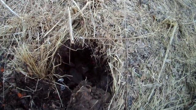 Урочище Никулино коп по лайту с ТХ-850 смотреть онлайн