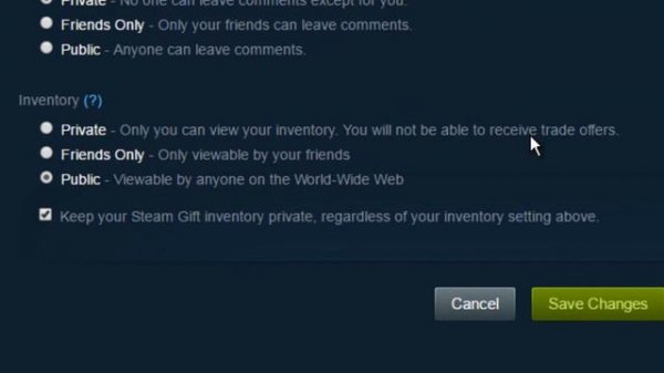 HOW TO MAKE YOUR STEAM INVENTORY PUBLIC OR PRIVATE 2017 - Steam Inventory Privacy Settings Tutorial