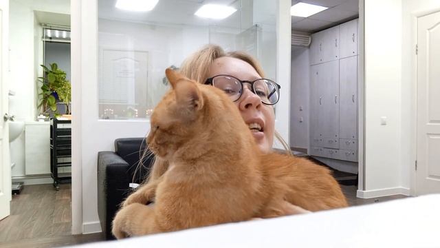 Рисую комикс за 5 дней смотреть онлайн