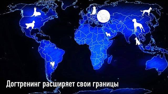 Догтренинг расширяет свои границы.   Консультации онлайн - догтренинг.рф