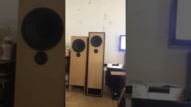 Новая акустика на базе 150ГДШ35-8. Труба Войта смотреть онлайн
