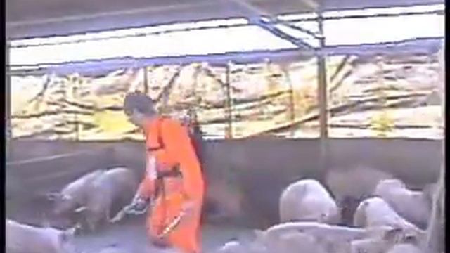 Unitron AgroJet - Needle free injection смотреть онлайн