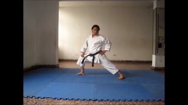 CLASE VIRTUAL 01 Karate Do Shotokan. Escuela Peruana de Karate Do Dojo Enrique Cueva смотреть онлайн