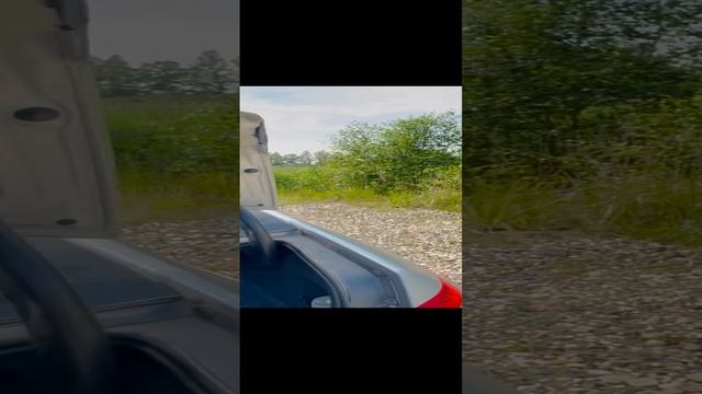 Channel31064512