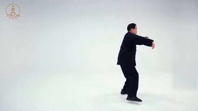 Chen Family Taijiquan  13 Forms  Master Zhu Tiancai/ Чжу Тяньцай  13 форм Чэньши тайцзи