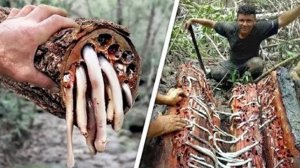 Невероятные Факты Об Индии, о Которых Вы Не Знали