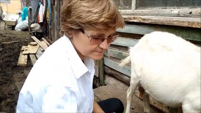 Как я купила доильный аппарат. 3 часть смотреть онлайн